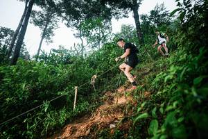 BIB: 
                            <button type="button" onclick="openModal(26202019)" class="btn btn-primary btn-sm float-right btn-popup" data-toggle="modal" data-target=".modal-high-quality">
                        <i class="fas fa-shopping-cart"></i> Add to Cart
                    </button>
                                            <button type="button" onclick="isThisMe(26202019, true)" class="btn btn-success btn-sm float-right btn-popup btn-isme hidden" data-toggle="tooltip" data-placement="bottom" title="นี่คือรูปของคุณใช่ไหม คลิกที่นี่เพื่อเอาเข้าอัลบั้ม">
                        <i class="fas fa-plus"></i> Add to album
                    </button>
                    <button type="button" onclick="isThisMe(26202019, false)" class="btn btn-warning btn-sm float-right btn-popup btn-isnotme hidden">
                        <i class="fas fa-ban"></i> Remove from album
                    </button>